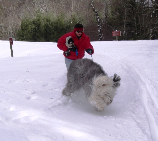 /images/events/28/Beaureguard enjoys the snow.jpg